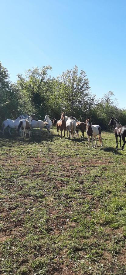 Gites Les Ecuries Saserang Mouilleron Екстериор снимка